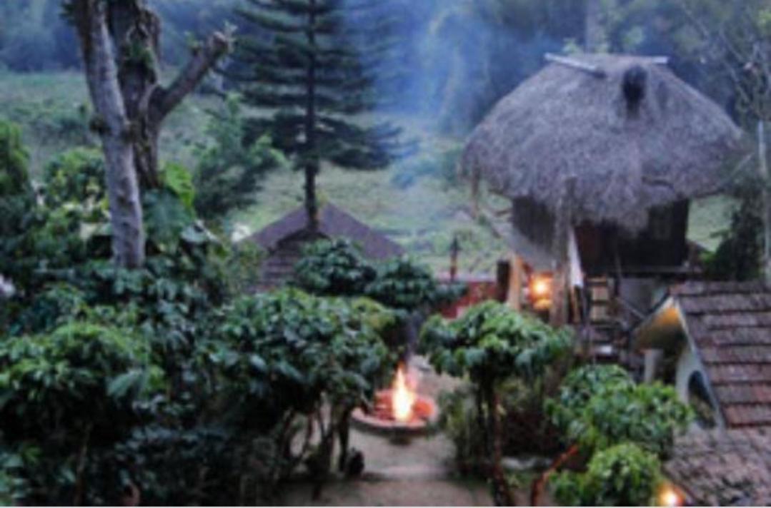 Coffee Inn Thekkady Exterior foto